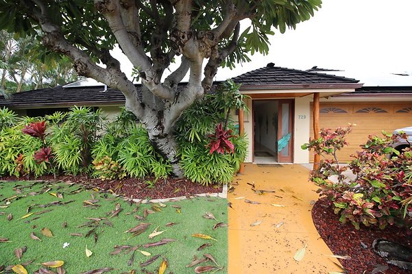 Kahala 729 Ulumaika Tom 347 3169