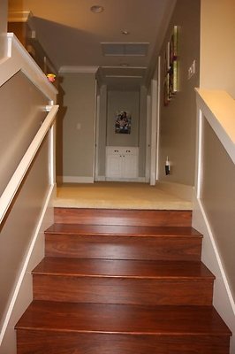 th IMG 6833 th IMG 6833