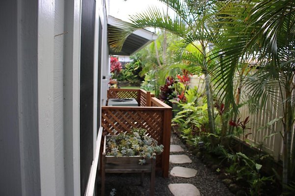 th IMG 6816 th IMG 6816