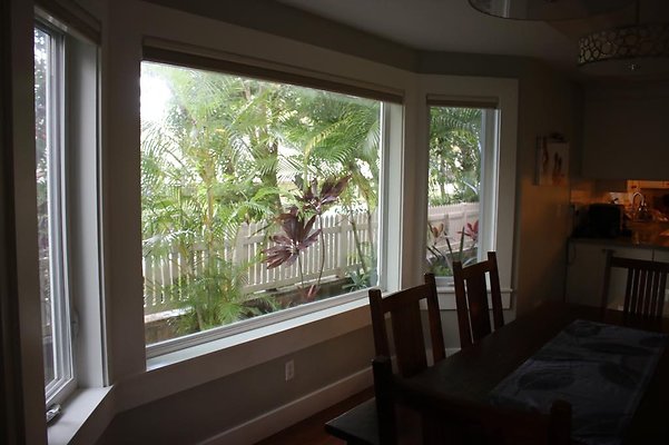 th IMG 6812 th IMG 6812