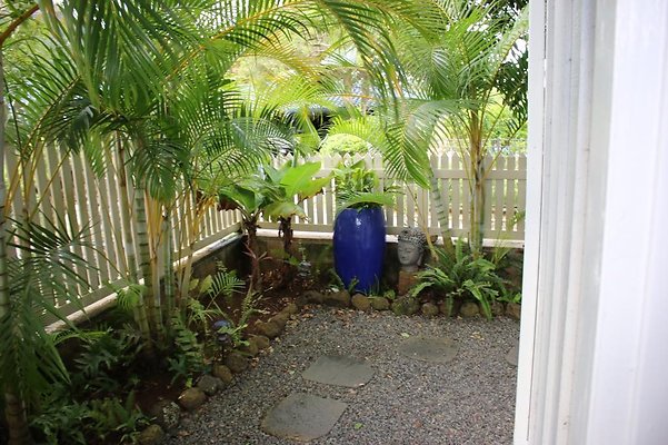 th IMG 6817 th IMG 6817