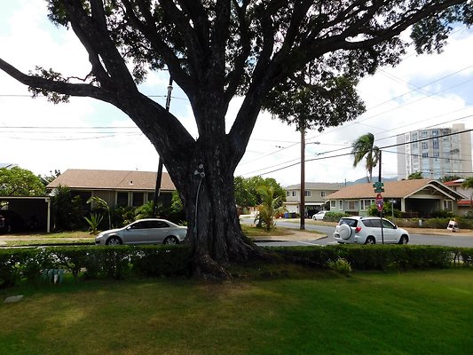 th Epiphany 13 th Epiphany 13