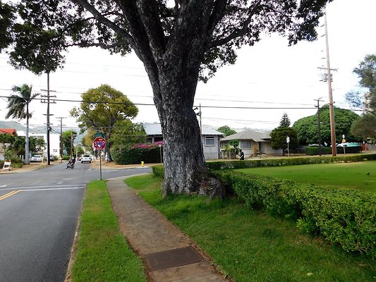 th Epiphany 4 th Epiphany 4