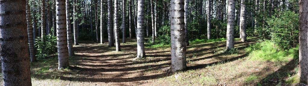 th 12 Pan-18mm th 12 Pan-18mm