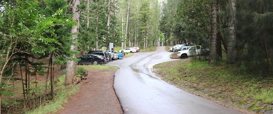 th 04 Pan-35mm th 04 Pan-35mm