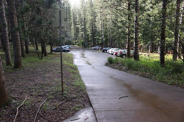 Waahila Ridge State Recreation Area