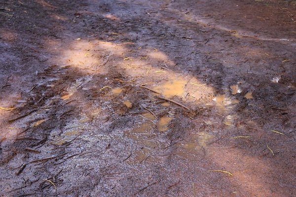 th IMG 0555 th IMG 0555