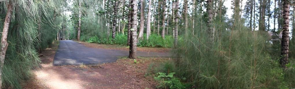 th 24 Pan-18mm th 24 Pan-18mm