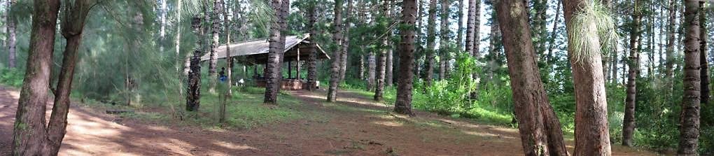 th 21 Pan-35mm th 21 Pan-35mm