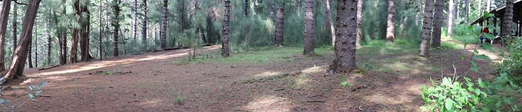 th 23 Pan-35mm th 23 Pan-35mm