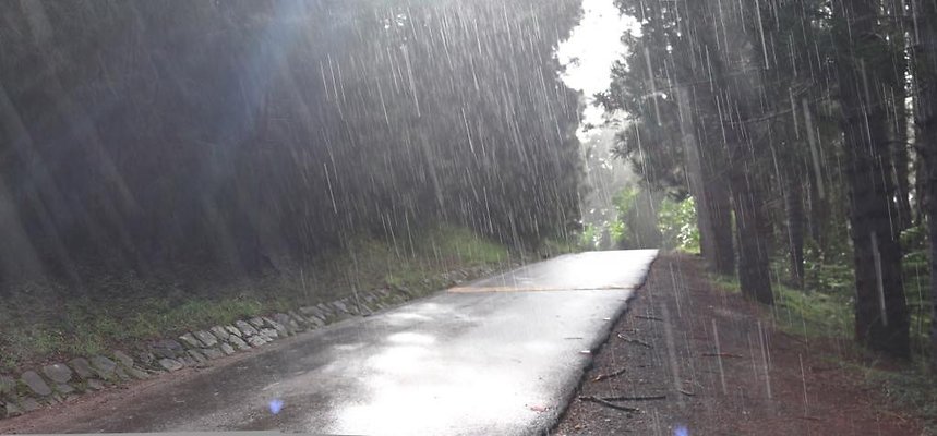 th 02 Pan-35mm th 02 Pan-35mm