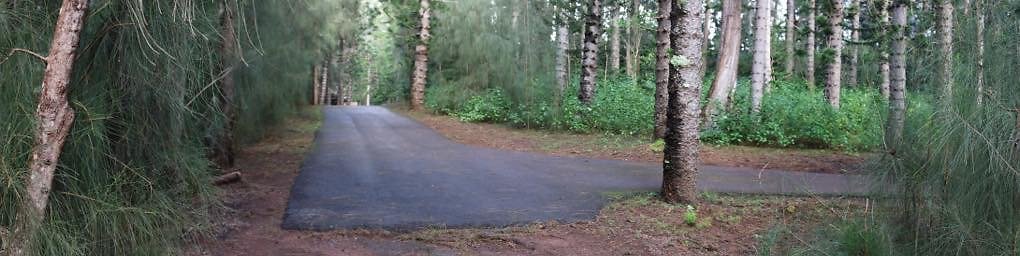 th 25 Pan-35mm th 25 Pan-35mm