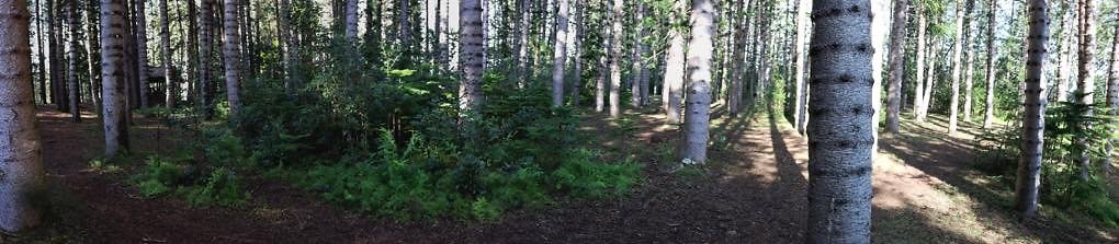 th 14 Pan-18mm th 14 Pan-18mm