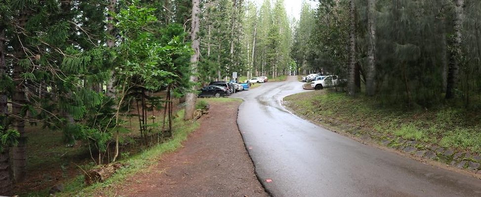 th 03 Pan-18mm th 03 Pan-18mm