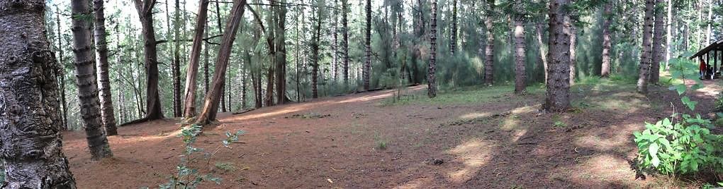 th 22 Pan-18mm th 22 Pan-18mm