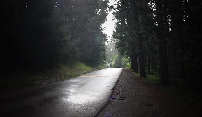 th 01 Pan-18mm th 01 Pan-18mm