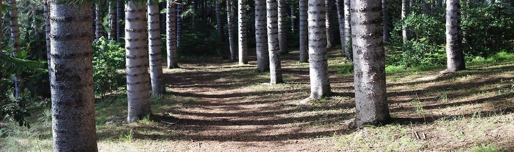 th 13 Pan-35mm th 13 Pan-35mm