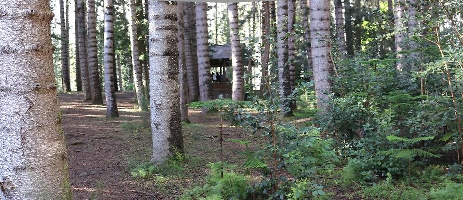 th 15 Pan-35mm th 15 Pan-35mm