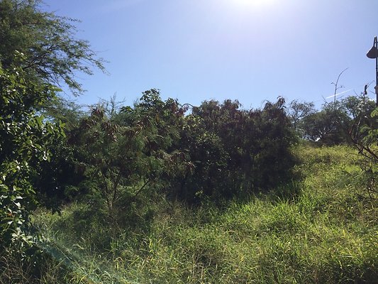 HI50 S5 Battery Harlow 38.37 HI50 S5 Battery Harlow 38.37