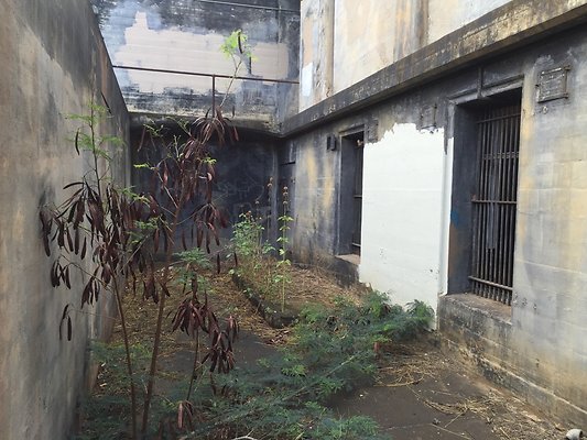 HI50 S6 2016-02-19 09.27.09 HI50 S6 2016-02-19 09.27.09