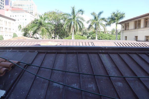 th IMG 6736 th IMG 6736