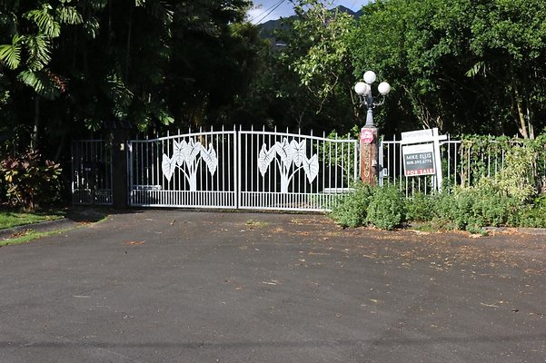 th IMG 0089 th IMG 0089