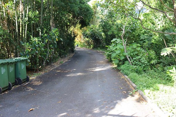 th IMG 0093 th IMG 0093