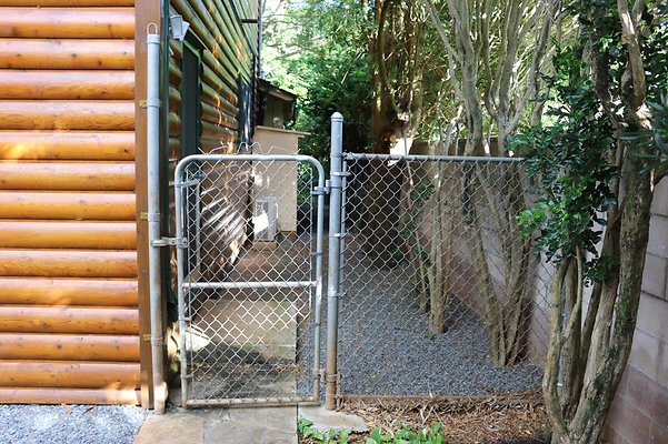 th IMG 0143 th IMG 0143