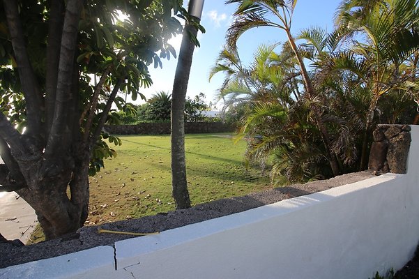 th IMG 2633 th IMG 2633