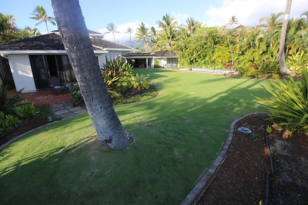 th IMG 2635 th IMG 2635