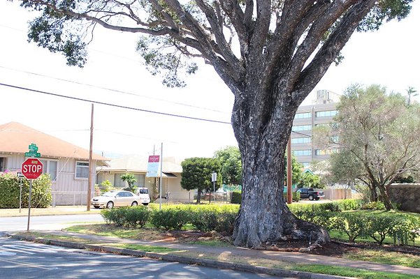 th IMG 1619 th IMG 1619