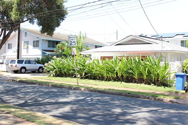 th IMG 1622 th IMG 1622