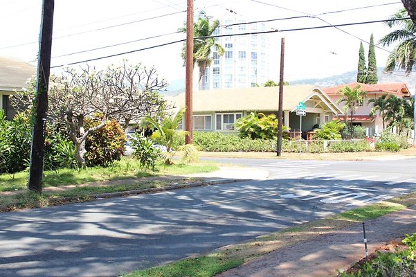 th IMG 1624 th IMG 1624