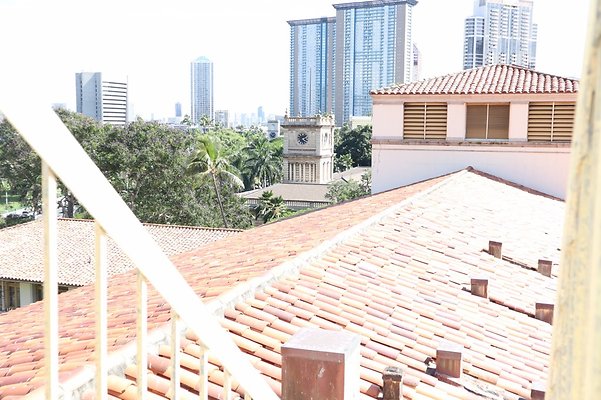 th IMG 6748 th IMG 6748