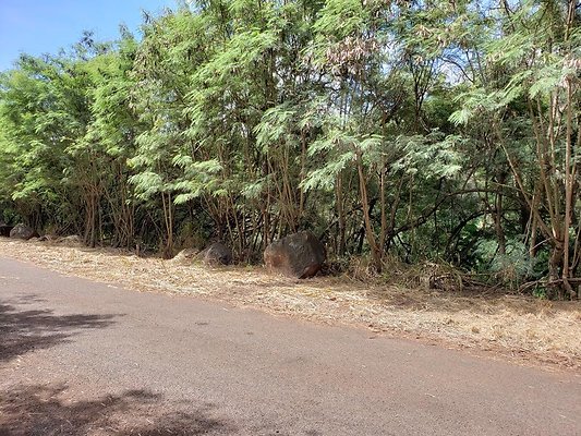 th Bunker 03 th Bunker 03