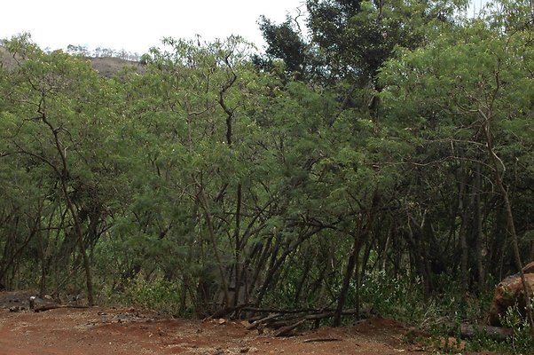 HI50 S6 DSC 5630 HI50 S6 DSC 5630