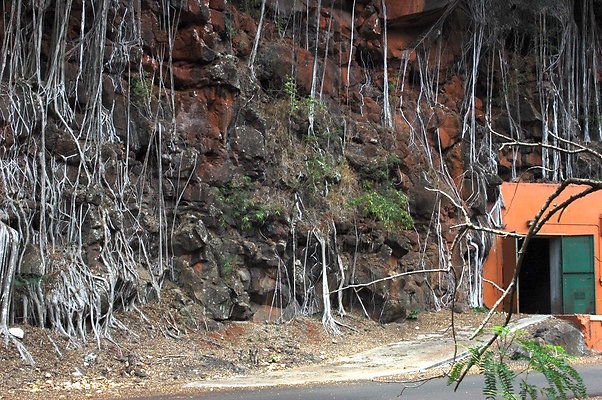 HI50 S6 DSC 5624 HI50 S6 DSC 5624