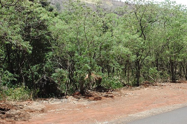 HI50 S6 DSC 5638 HI50 S6 DSC 5638