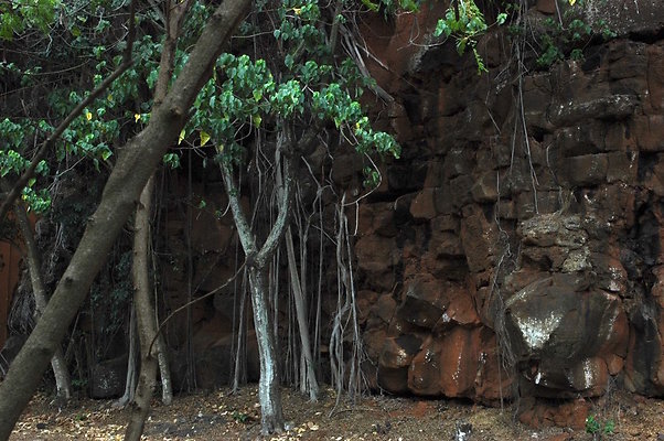 HI50 S6 DSC 5622 HI50 S6 DSC 5622