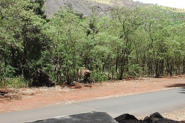 HI50 S6 DSC 5637 HI50 S6 DSC 5637