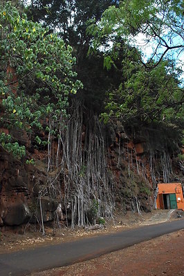 HI50 S6 DSC 5658 HI50 S6 DSC 5658