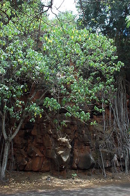 HI50 S6 DSC 5654 HI50 S6 DSC 5654