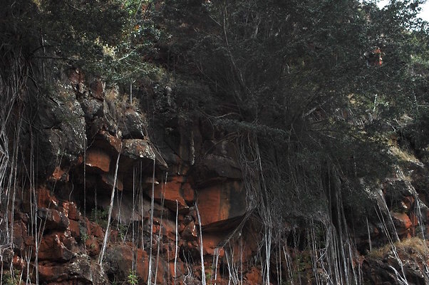 HI50 S6 DSC 5627 HI50 S6 DSC 5627