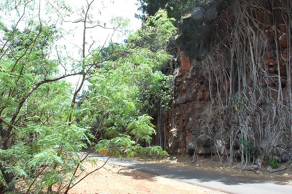 HI50 S6 DSC 5648 HI50 S6 DSC 5648