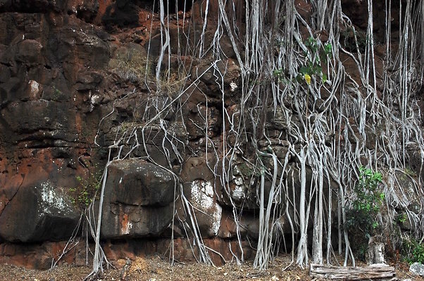 HI50 S6 DSC 5623 HI50 S6 DSC 5623