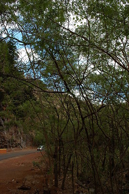 HI50 S6 DSC 5659 HI50 S6 DSC 5659