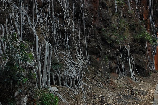 HI50 S6 DSC 5628 HI50 S6 DSC 5628