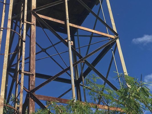 th IMG 4699 th IMG 4699