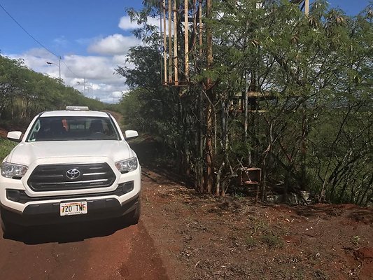 th IMG 4682 th IMG 4682