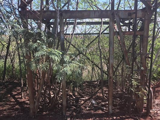 th IMG 4697 th IMG 4697